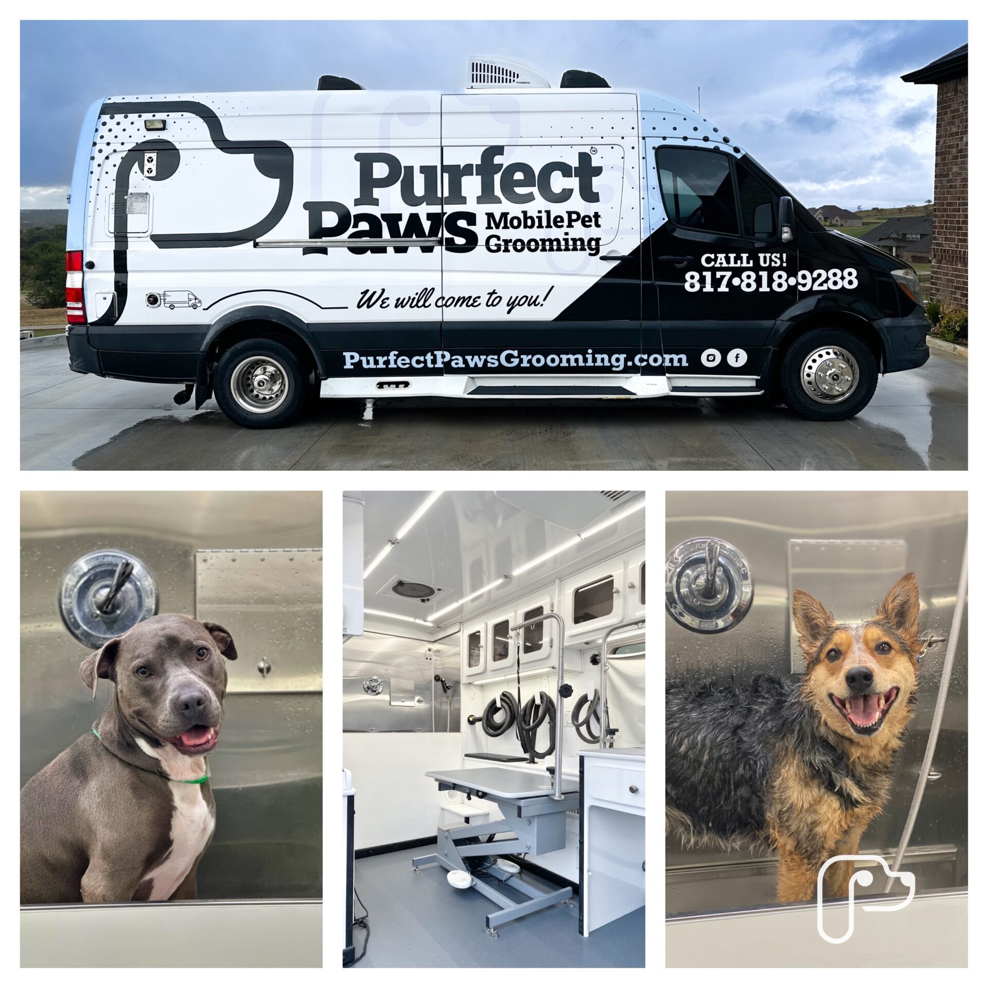 Dog Grooming Mobile Pet Grooming in Weatherford